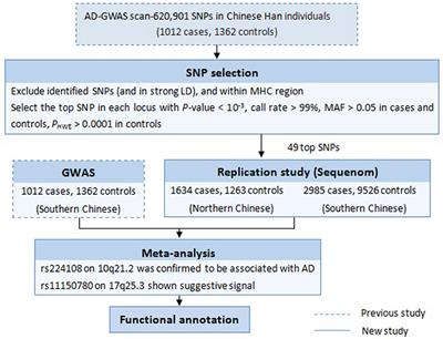 GWAS Follow-up Study Discovers a Novel Genetic Signal on 10q21.2 for Atopic Dermatitis in Chinese Han Population